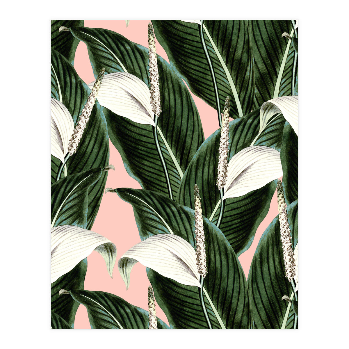 Sweet floral Pothos (Print Only)