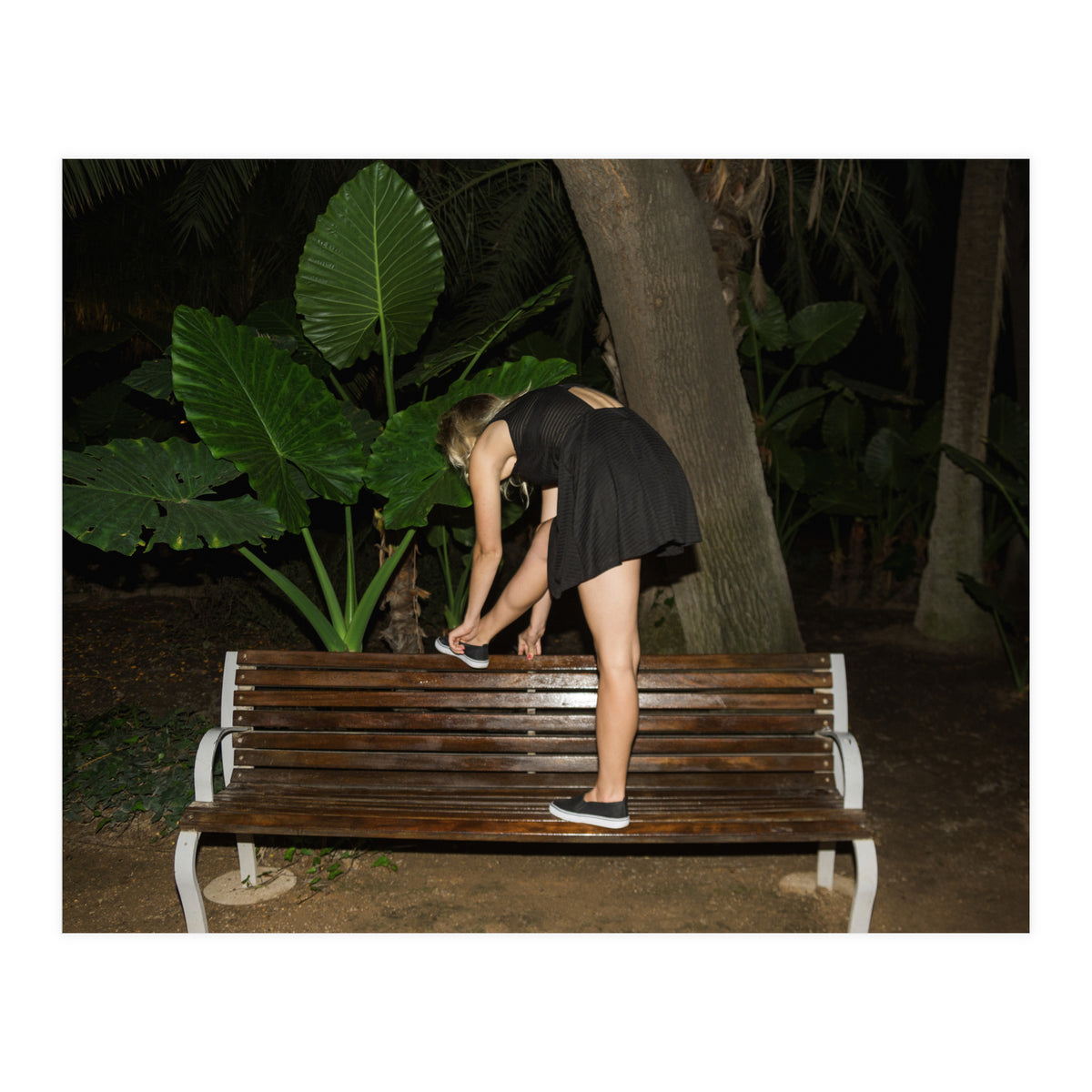 Slow Dancing Society (Print Only)