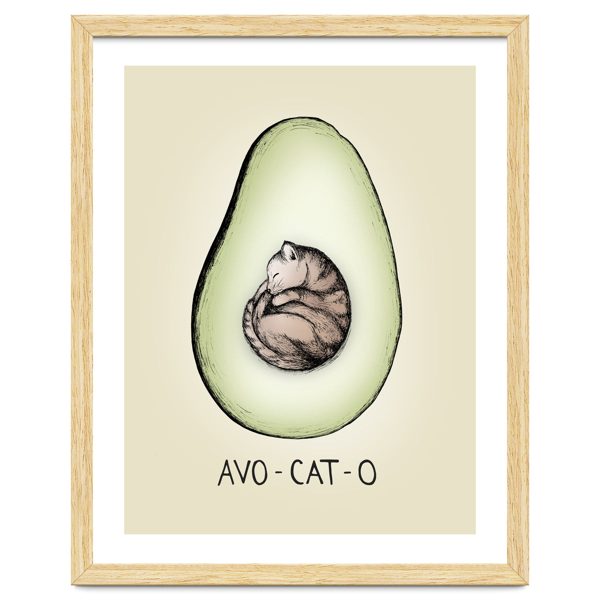 Avo-cat-o