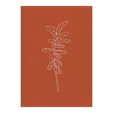 Line Art Botanical Terracotta (Print Only) thumbnail