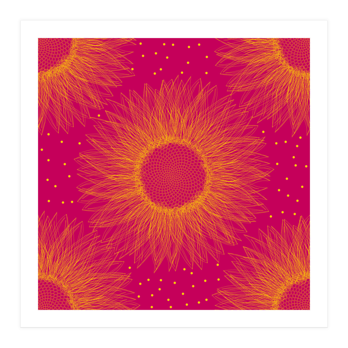 Sunflower (Print Only)