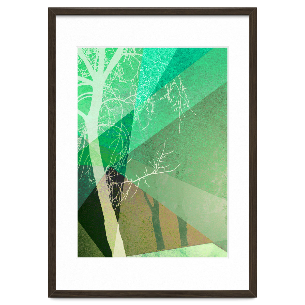 P22-B6 Trees And Triangles