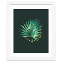 Tropical Palm Leaf 02