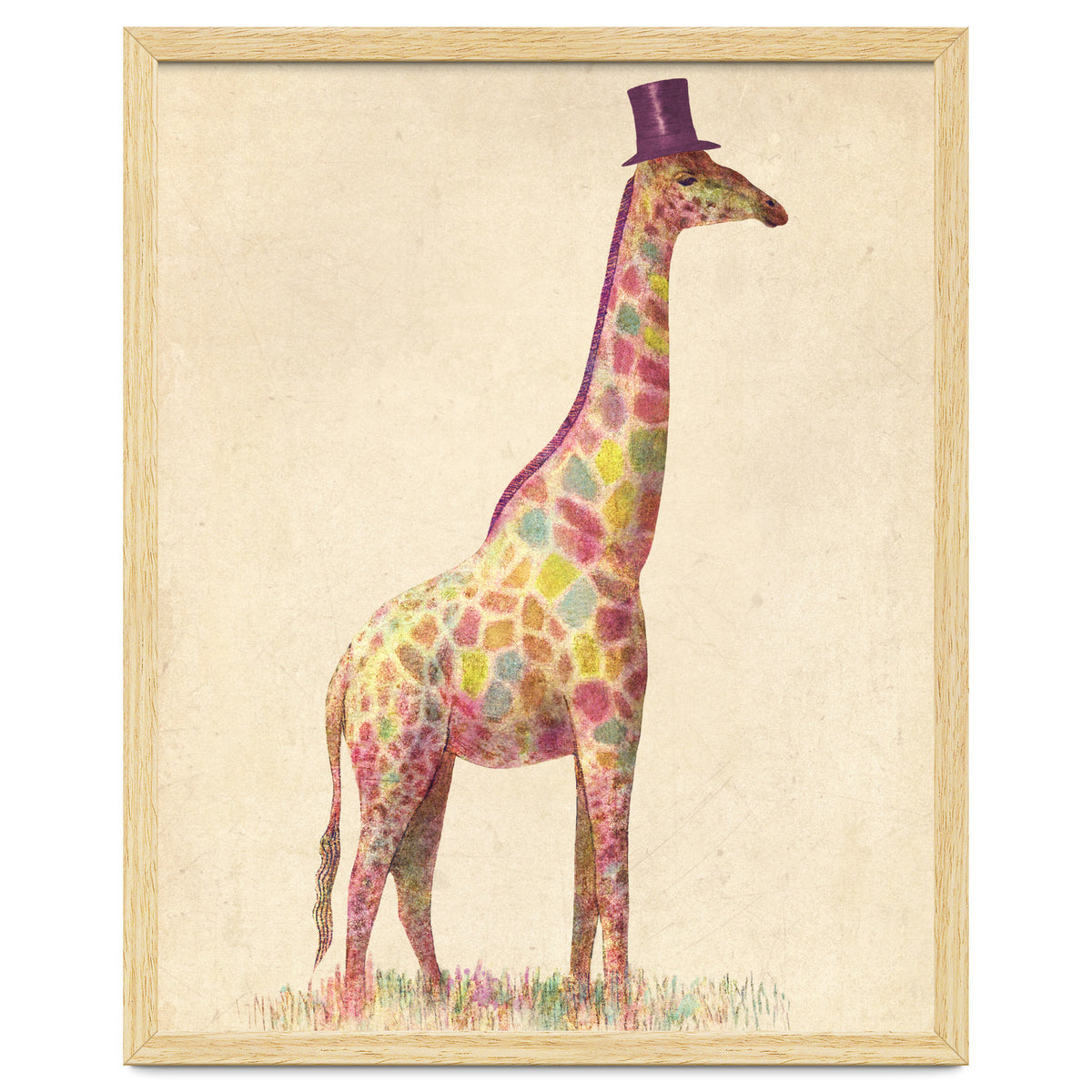 Fashionable Giraffe