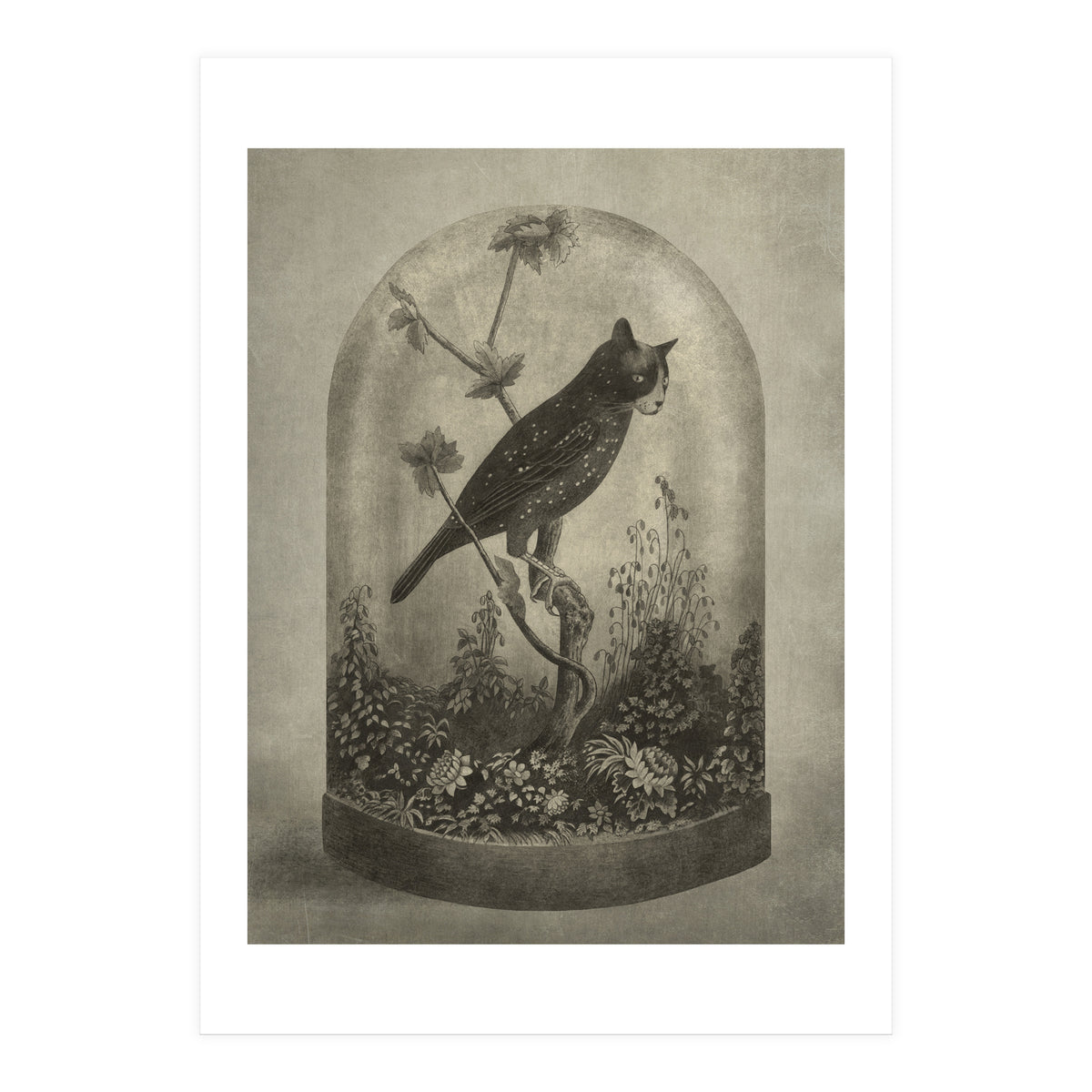 The Curiosity (Print Only)