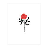 Rose (Print Only) thumbnail