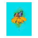 Butterfly 5 (Print Only) thumbnail