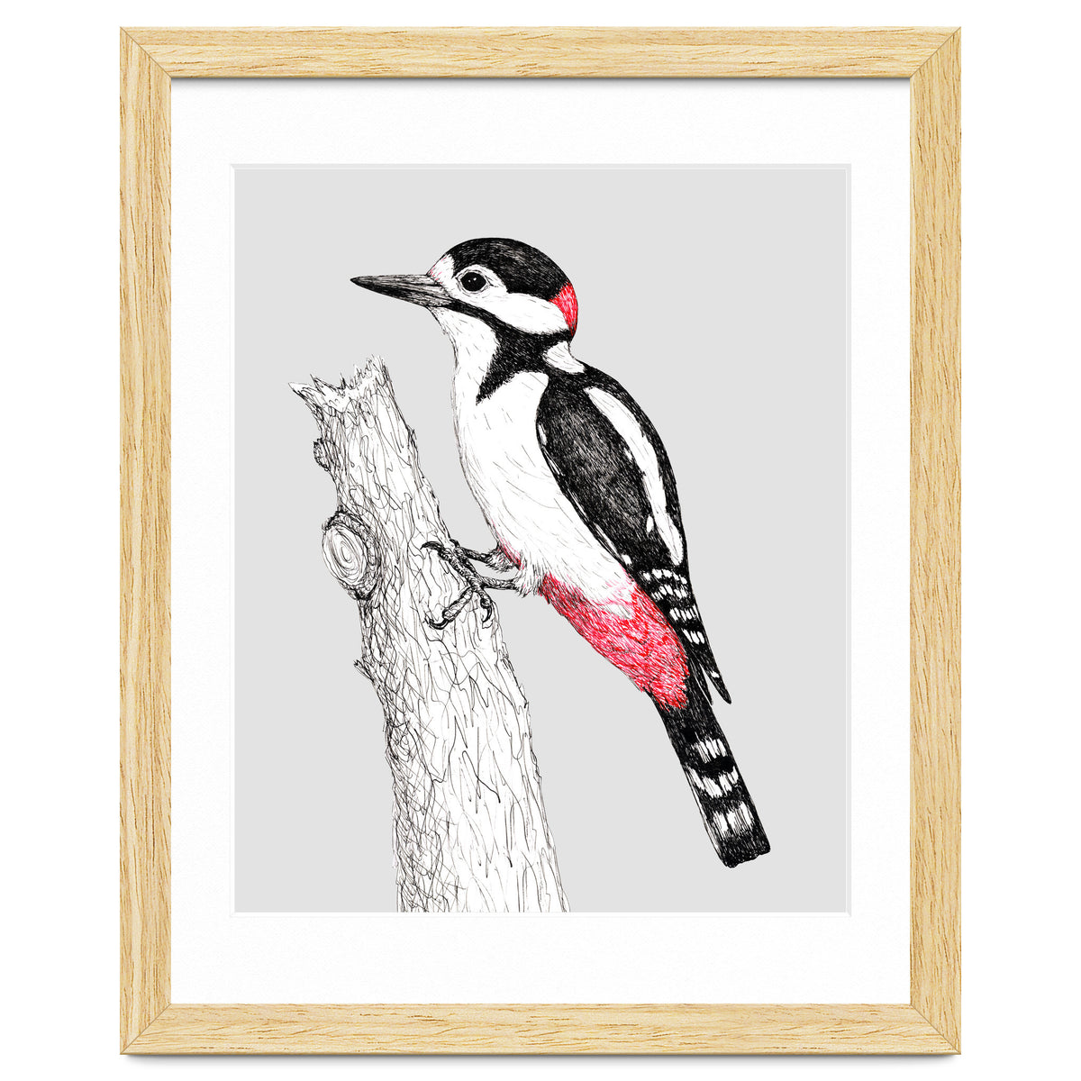 Great spotted woodpecker