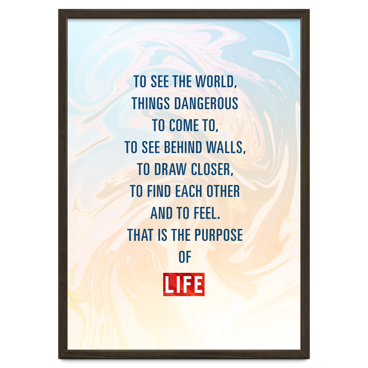 Secret Life of Walter Mitty