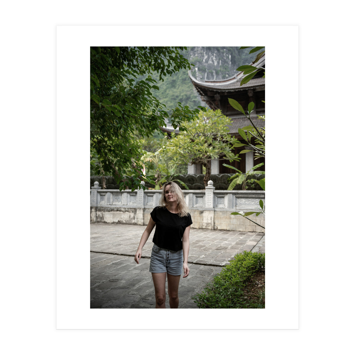 Vietnam Travel (Print Only)