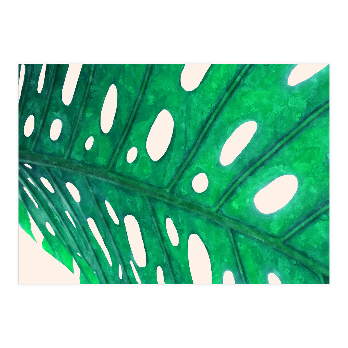 Foliage V2 (Print Only)