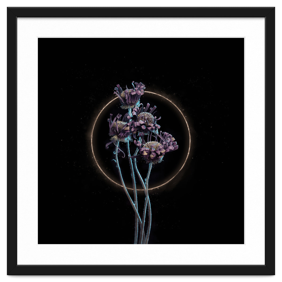 Candy-Coloured Mystery