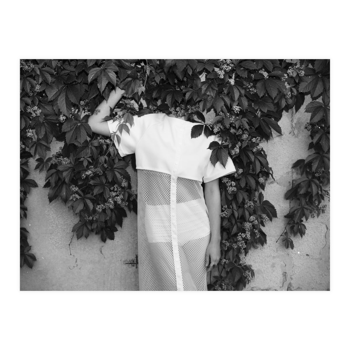 Alien Abduction (Print Only)