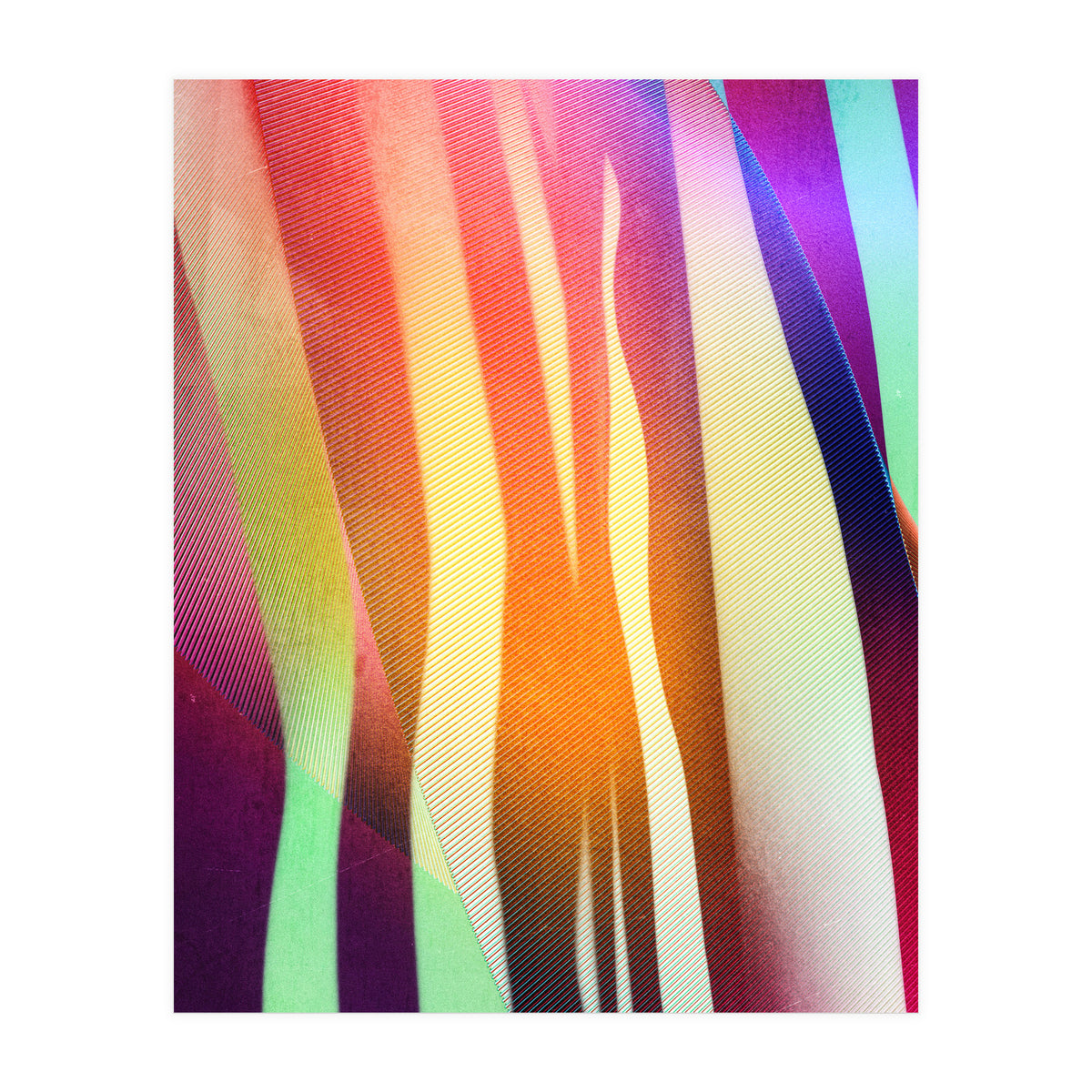 Carnival 3 (Print Only)