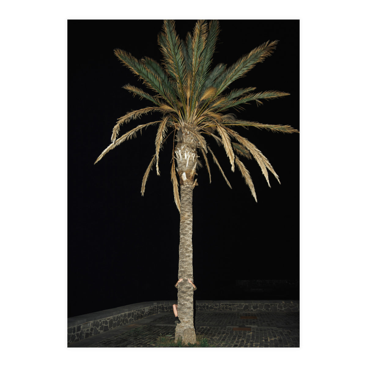 Facepalm (Print Only)