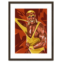 Hulk Hogan WWE