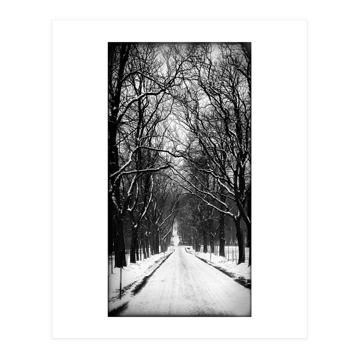 Winterly alley (Print Only)
