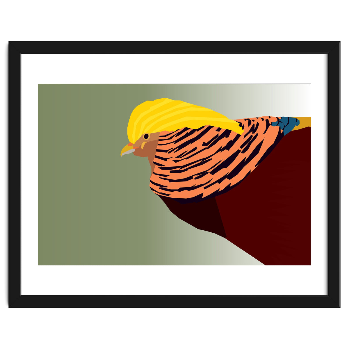 Golden Pheasant Bird Art