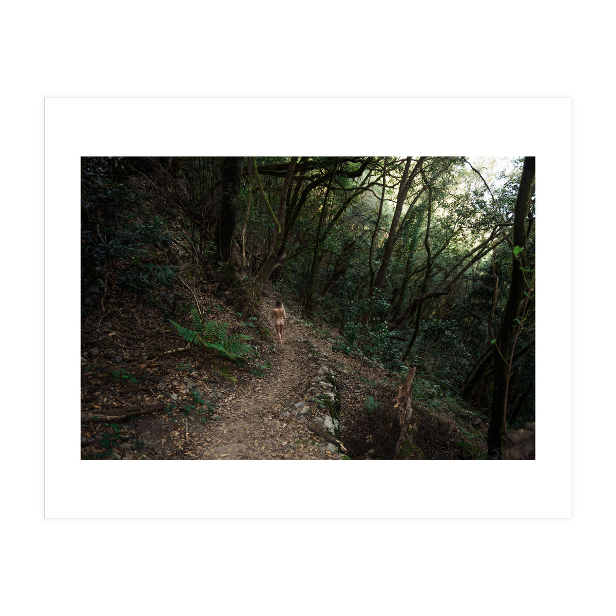 Wild Wild Woods (Print Only)