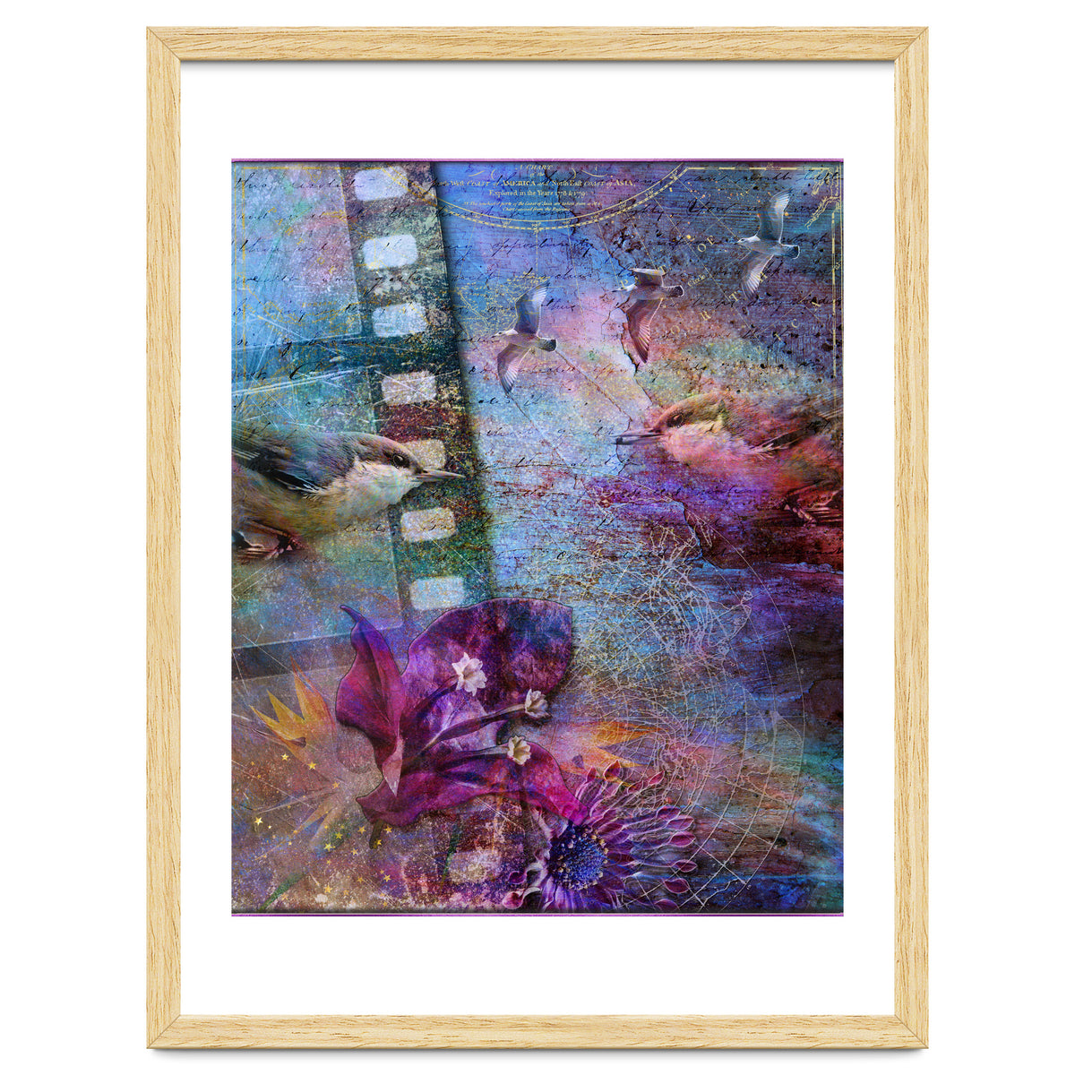 Watching the Wild World