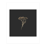 Gold Burst Botanicals - Square (Print Only) thumbnail