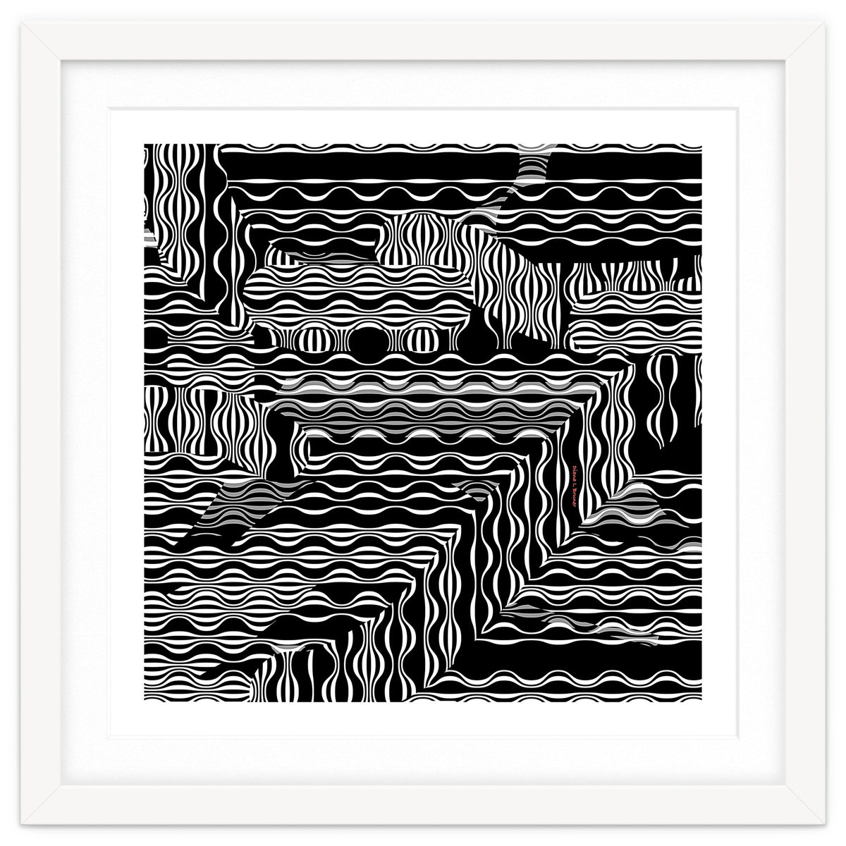 BLACK AND WHITE EXOTIC