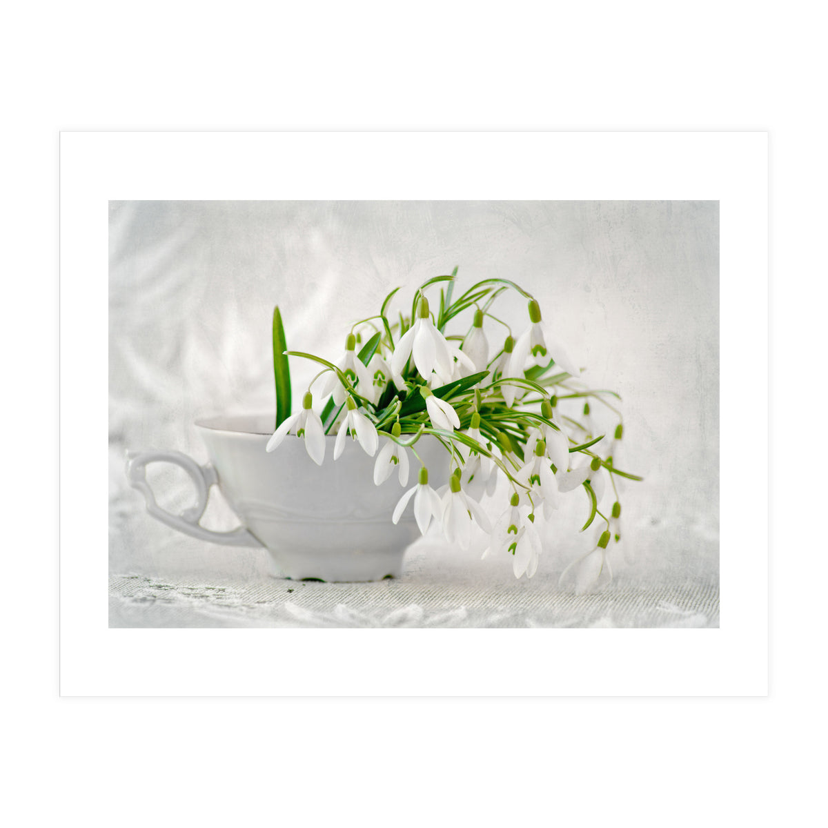 Snowflakes (Print Only)