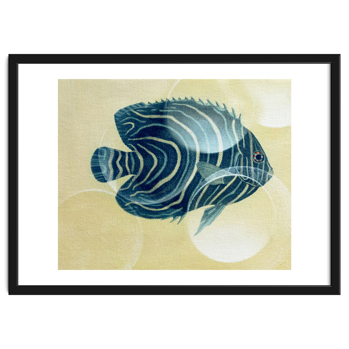 Fish Between Circles