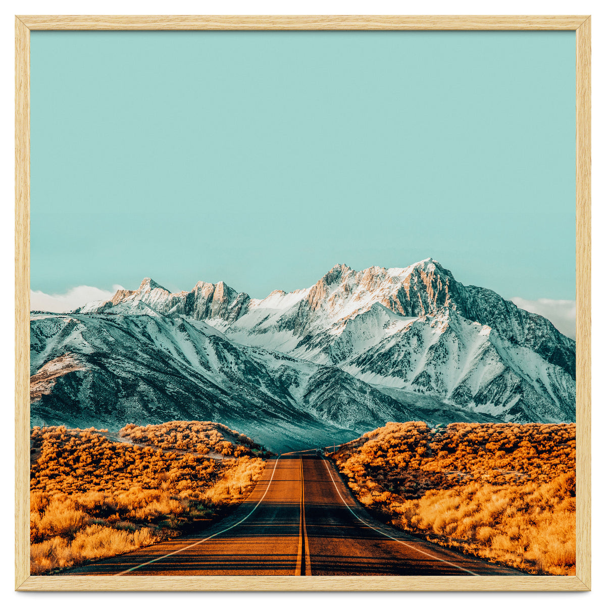 The Road Less Traveled