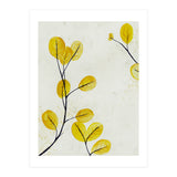 Golden birch leaves (Print Only) thumbnail