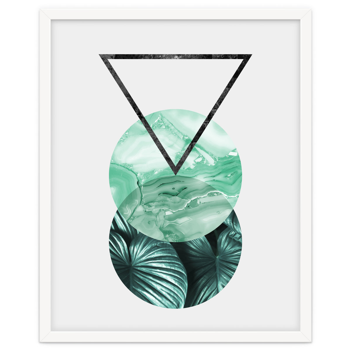 Botanical and geometric II