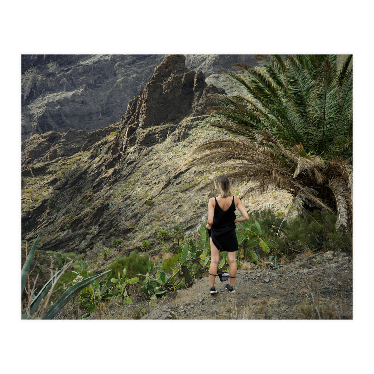 Where the F*** am I? (Print Only)