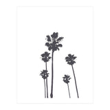 Palms & Sunset-Minimal B&W 2 (Print Only) thumbnail