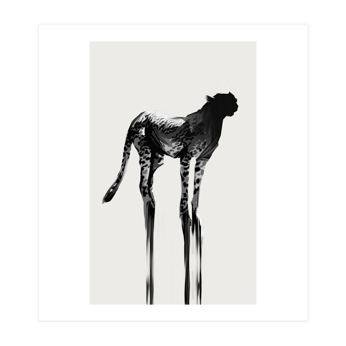 Cheetah  (Print Only)