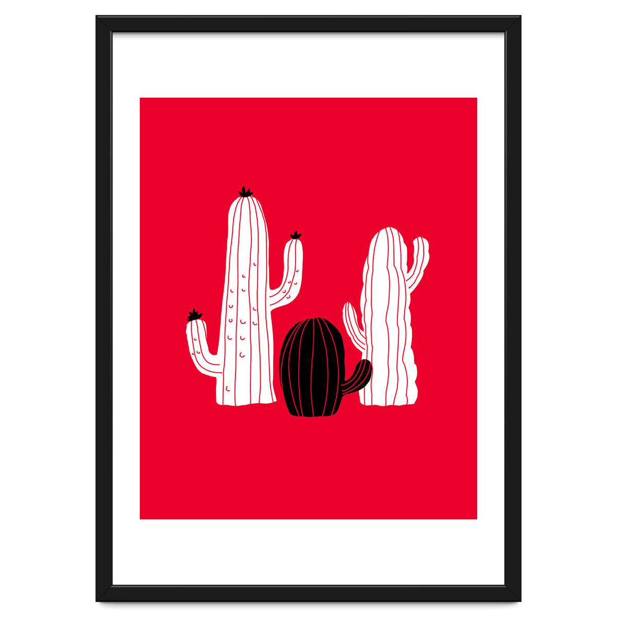 Cactus
