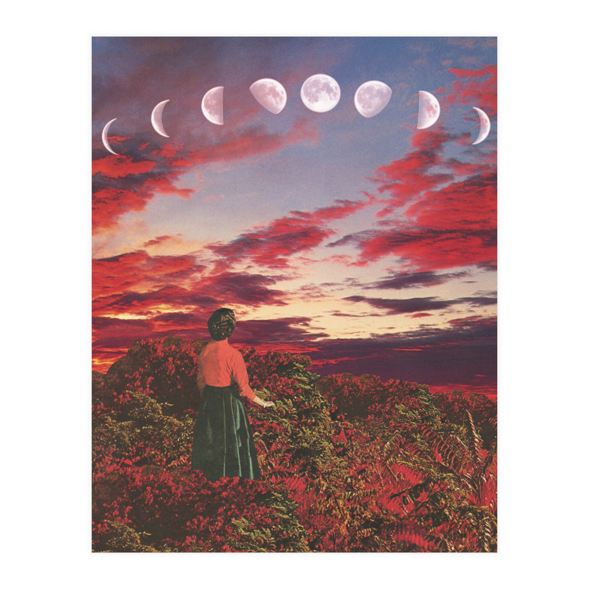 Crimson Paradise (Print Only)