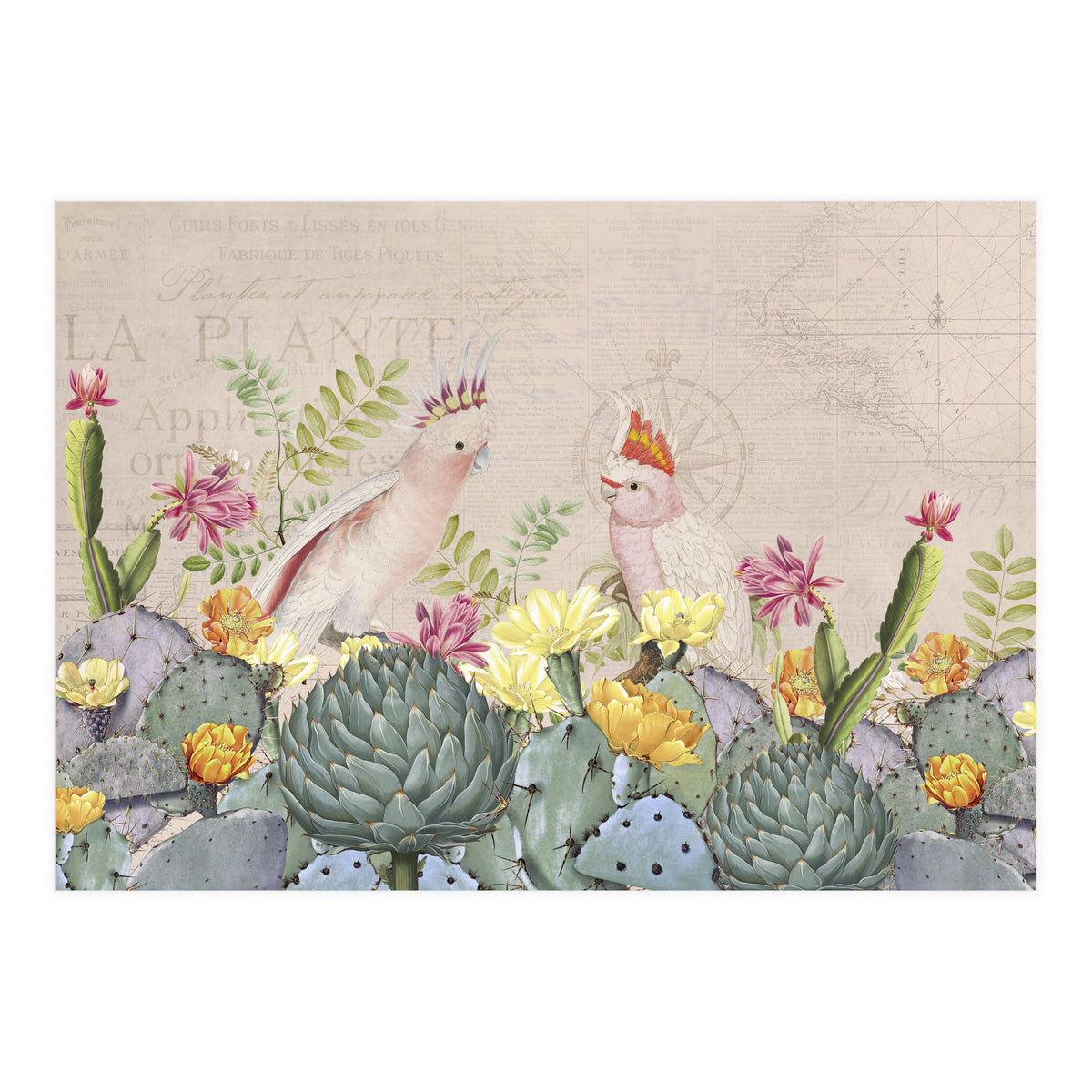 Desert Cockatoos (Print Only)