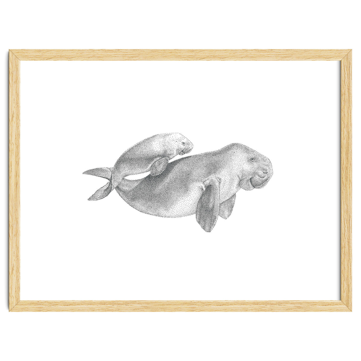 Dugongs no. 1
