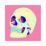 Skull (Print Only) thumbnail