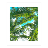 Life Is Better With Palm Trees (Print Only) thumbnail
