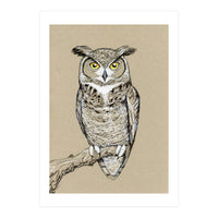 Great horned owl (Print Only)