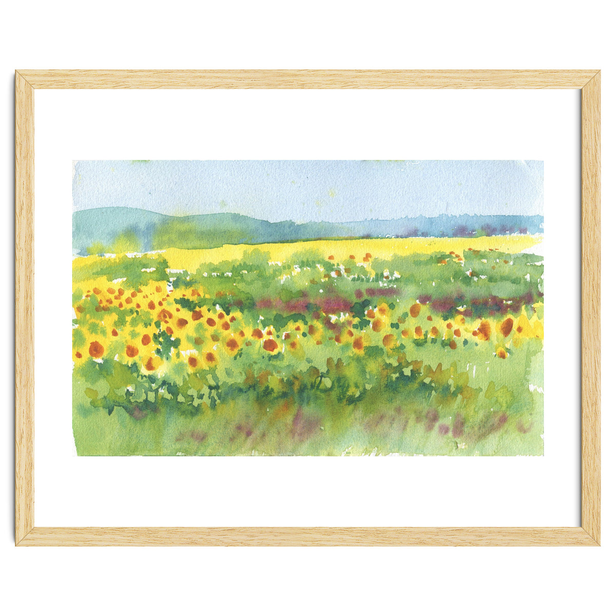 Sunflowers field