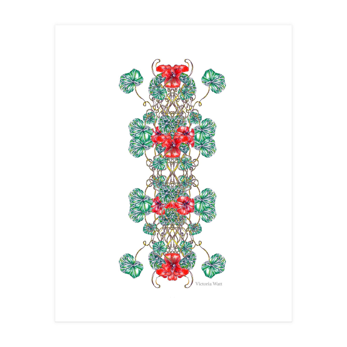 Nasturtiums  (Print Only)