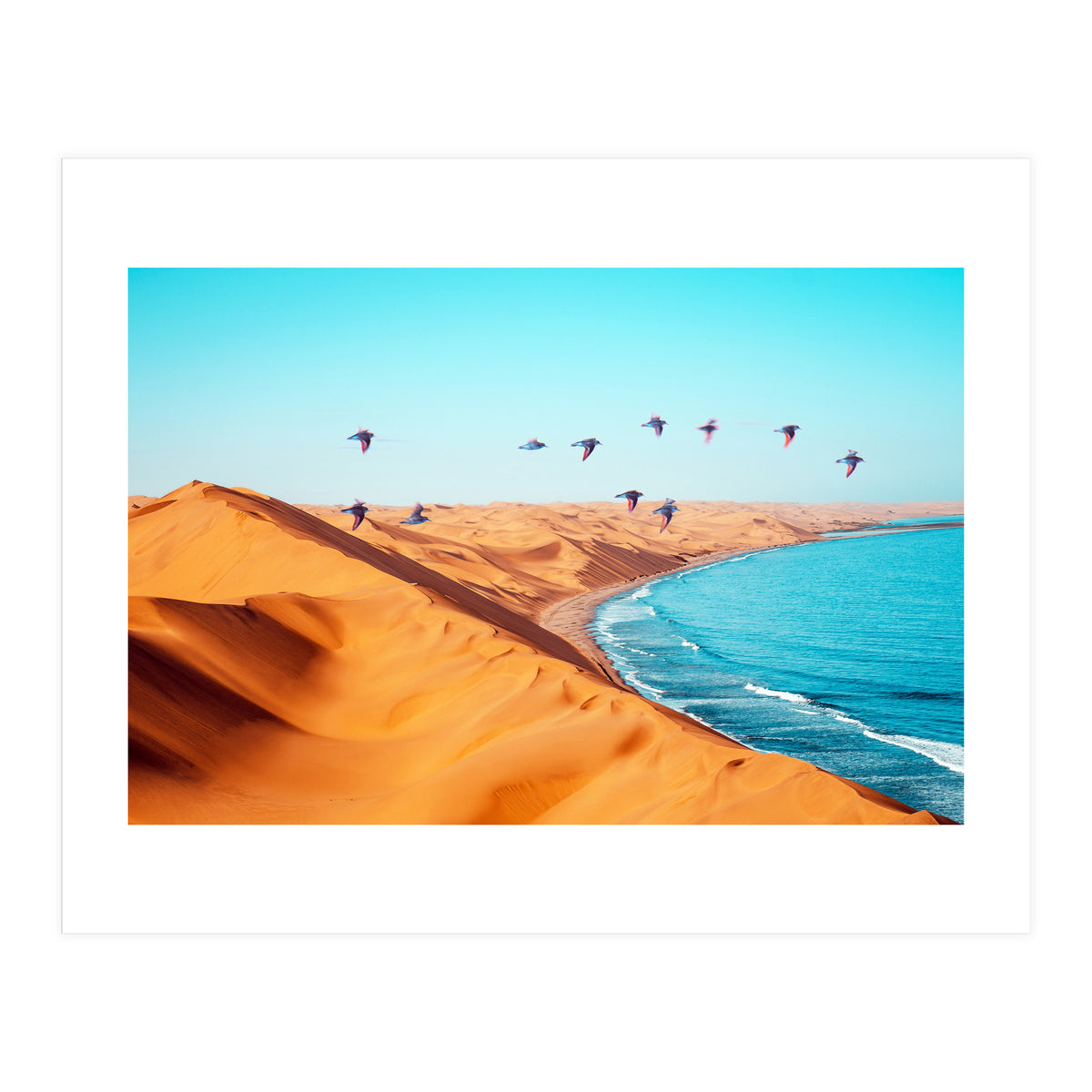 Desert Birds (Print Only)