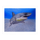 Formidable Beauty (Print Only) thumbnail