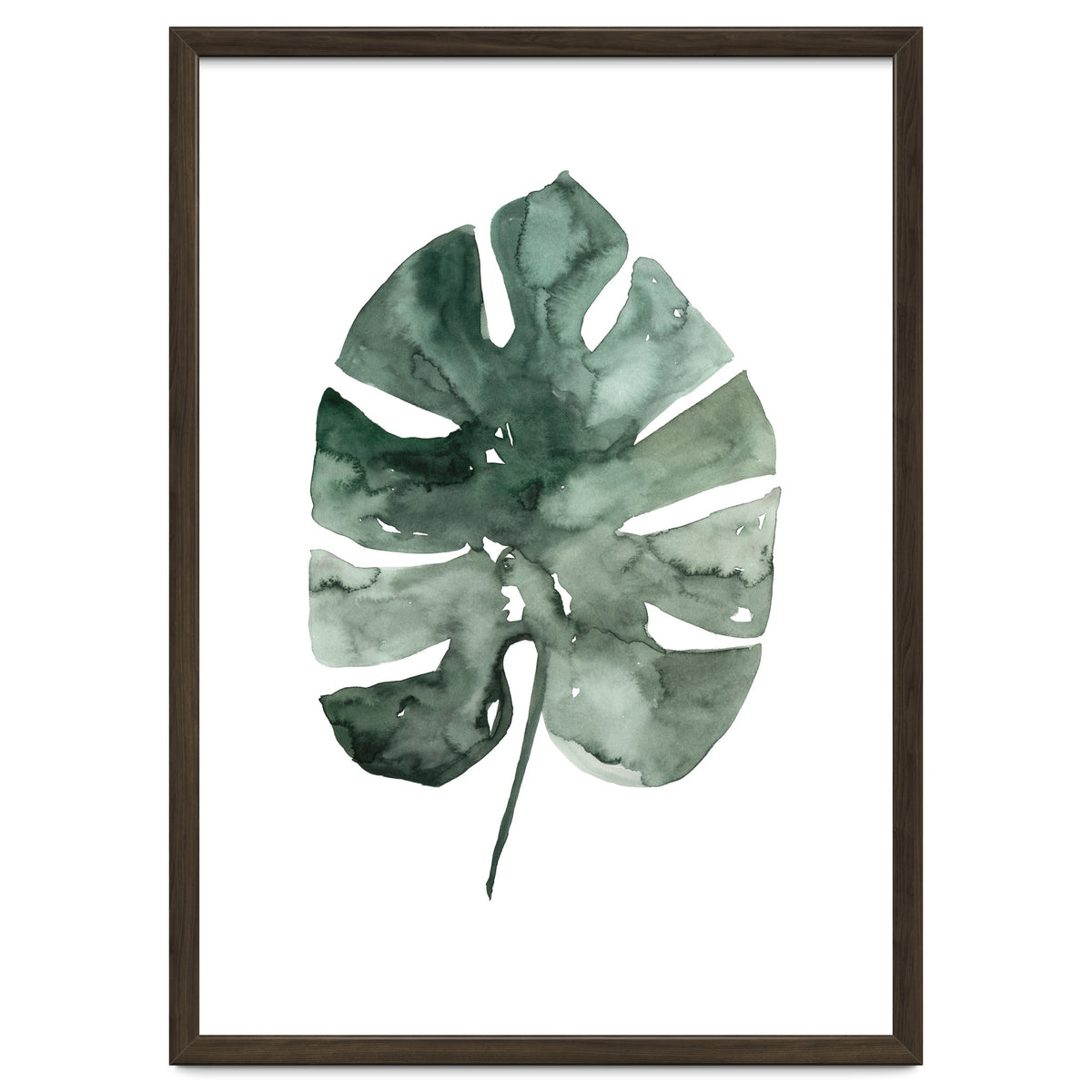 Botanical Illustration Monstera Leaf