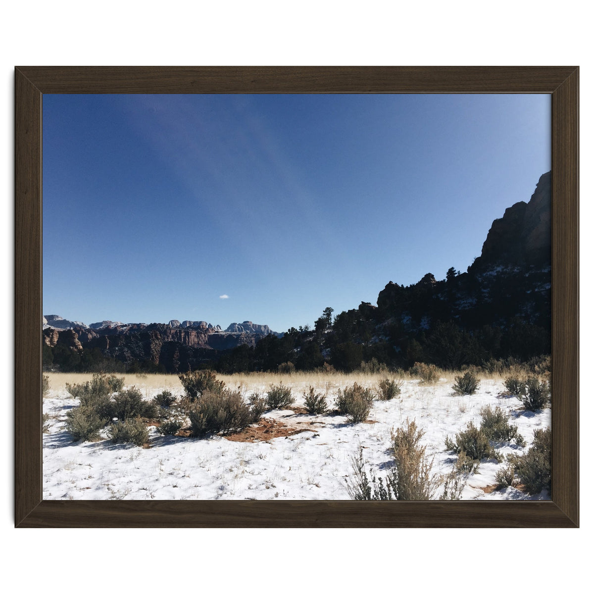 Zion National Park II