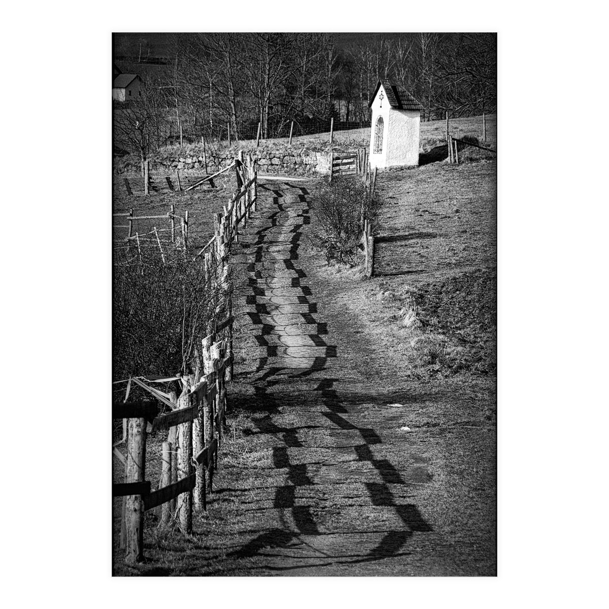 Forestry path (Print Only)