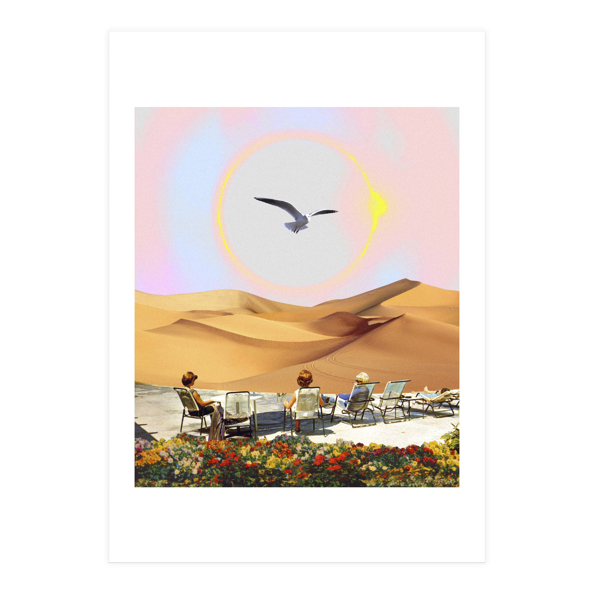 Birdwatching 2.0. (Print Only)