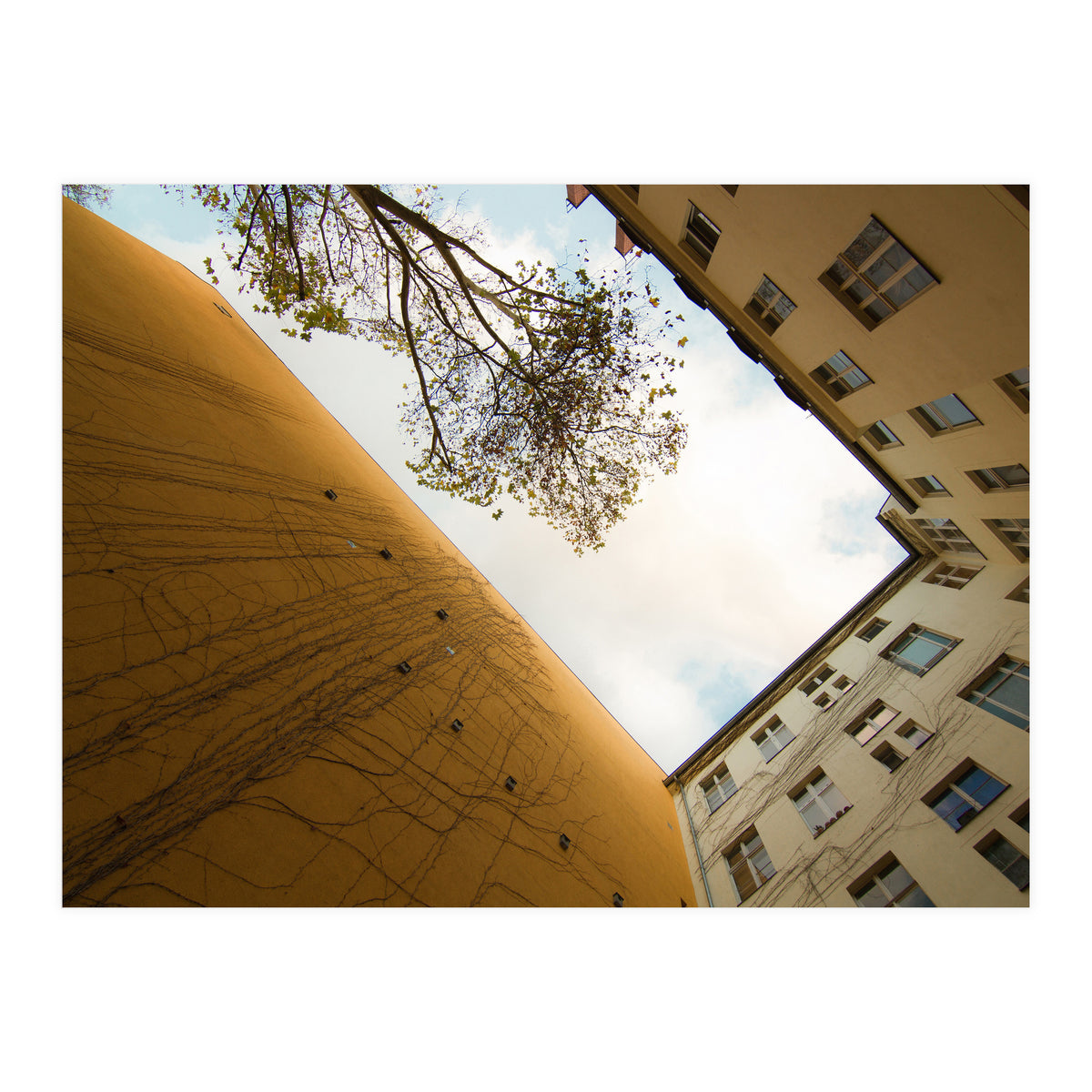 Hinterhof 74 (Print Only)